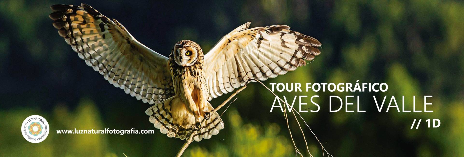 _CQS9123 copiaxxxxxxxxxxxxxxxx