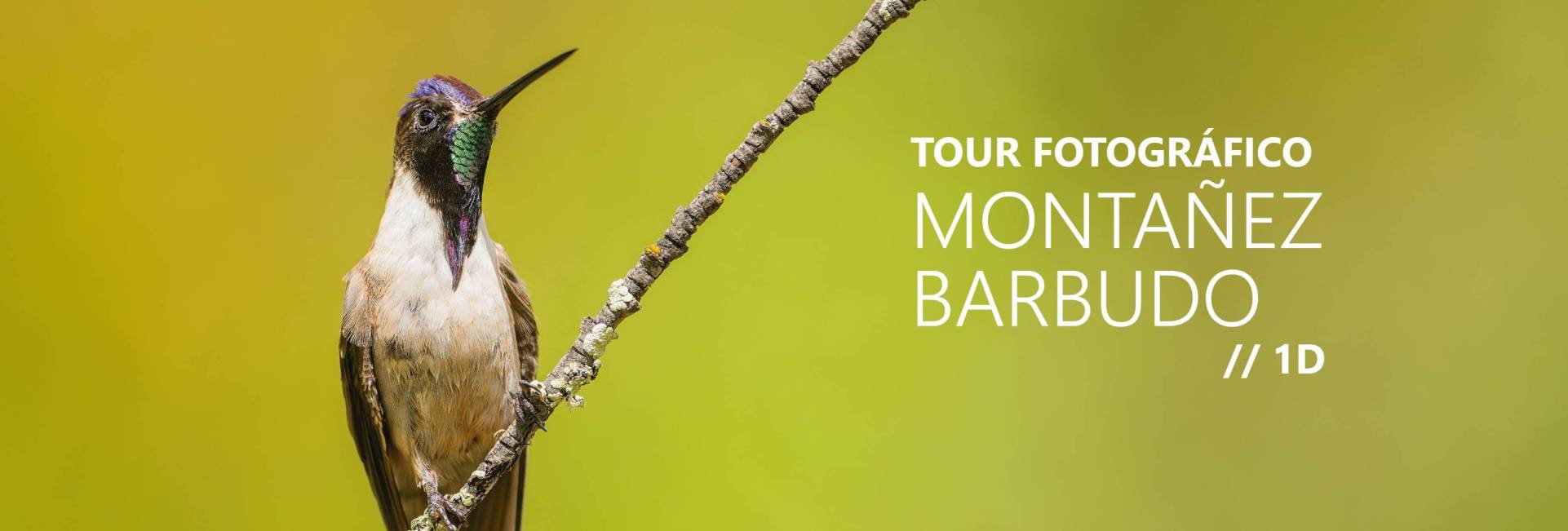 _CQS9123 copiaxxxxxxxxxxxxxxxx