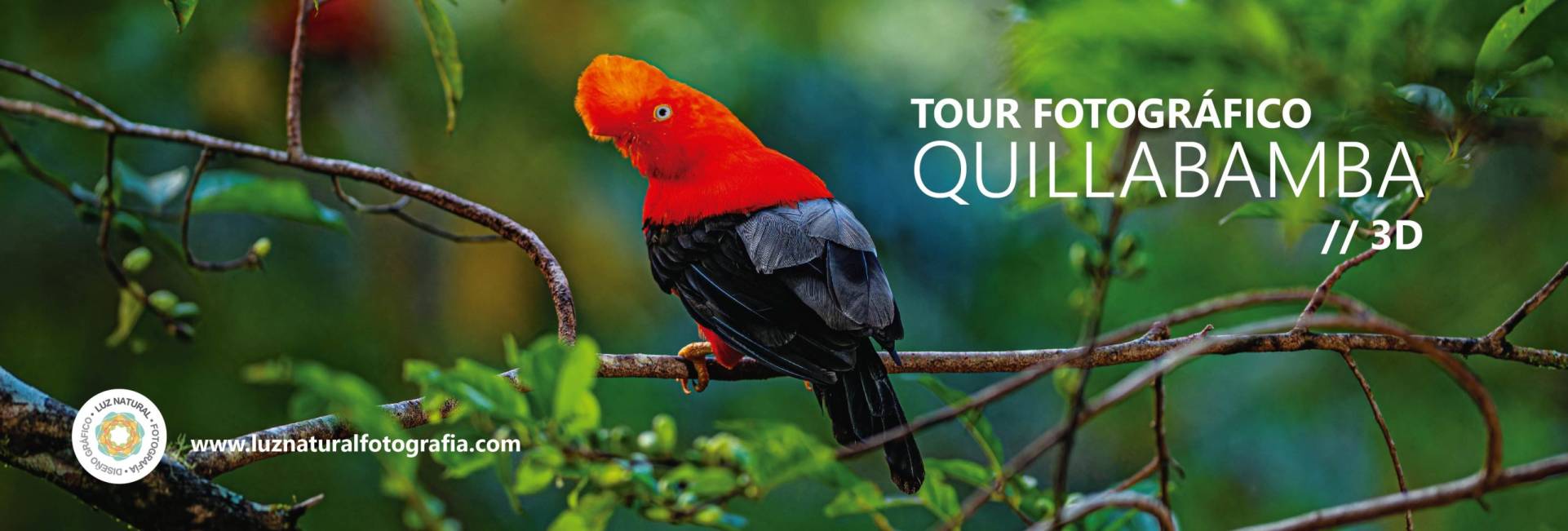 _CQS9123 copiaxxxxxxxxxxxxxxxx