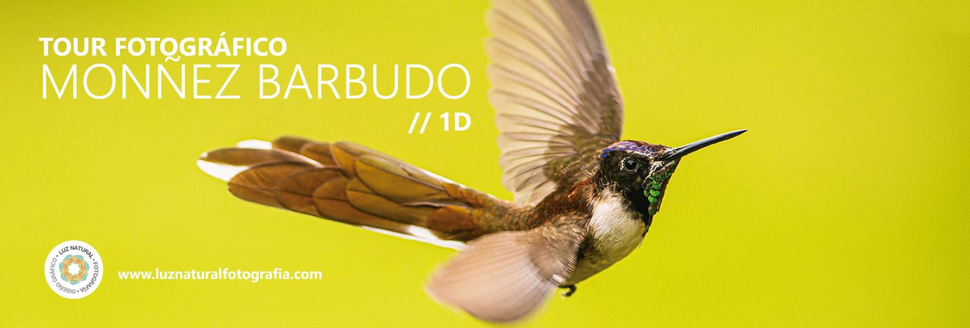 _CQS9123 copiaxxxxxxxxxxxxxxxx