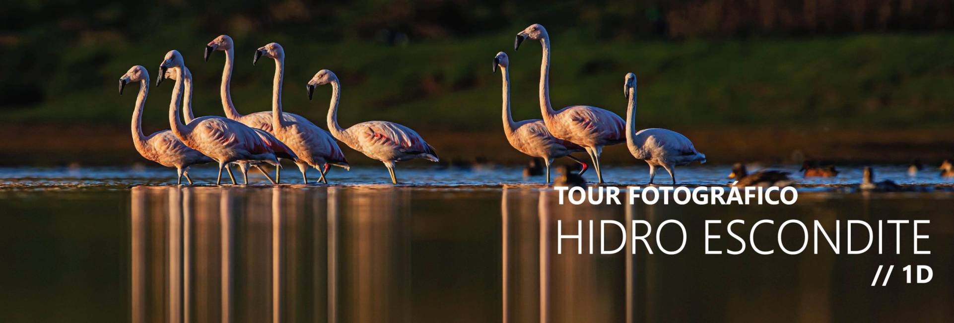 _CQS9123 copiaxxxxxxxxxxxxxxxx