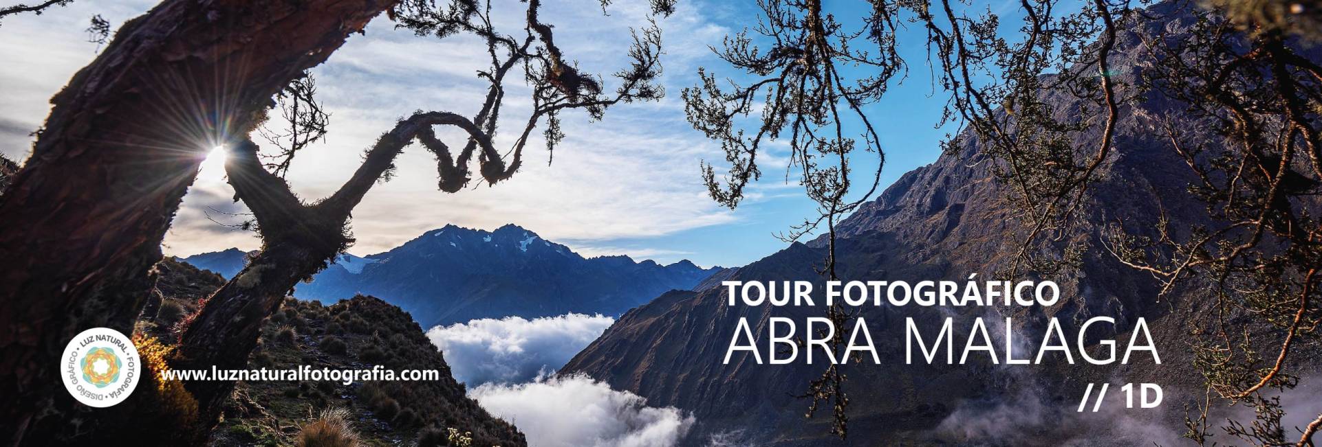 _CQS9123 copiaxxxxxxxxxxxxxxxx