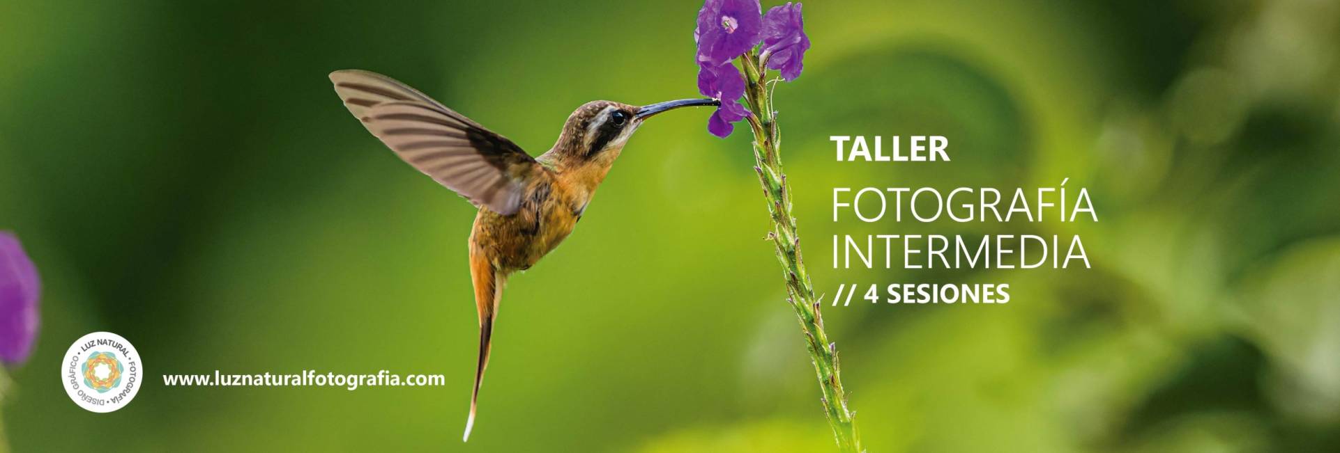 _CQS9123 copiaxxxxxxxxxxxxxxxx