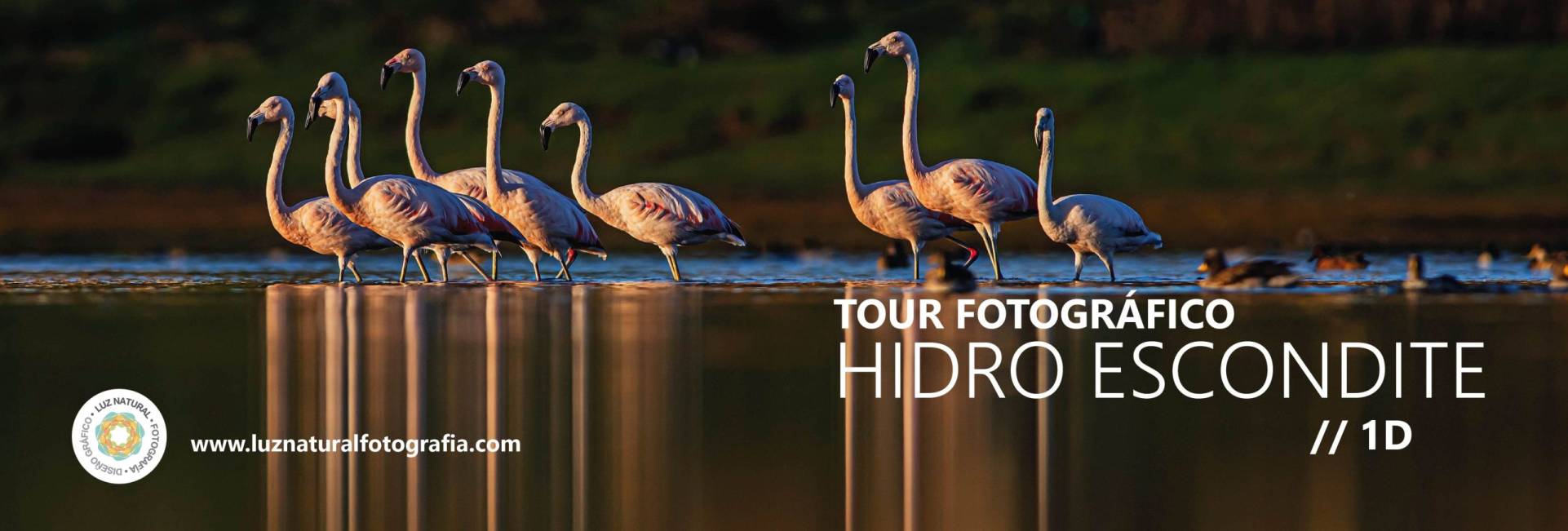 _CQS9123 copiaxxxxxxxxxxxxxxxx